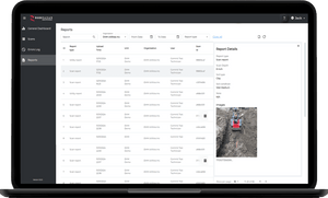 Live Dig Radar LDR Insights